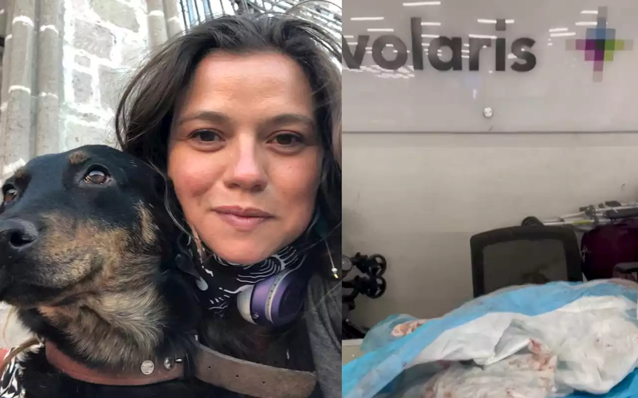 Mujer denuncia que Volaris le regresó a su lomito lastimado y con sangre | Video