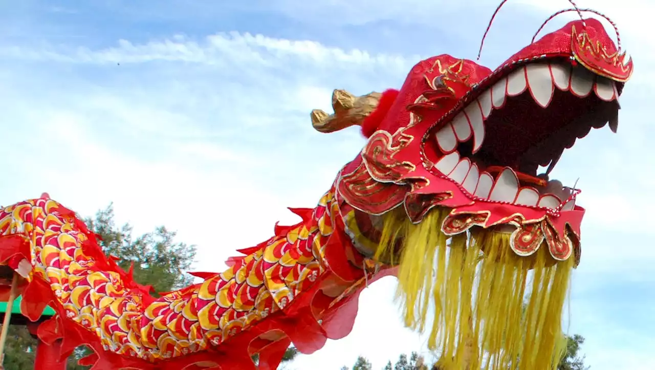 Lunar New Year 2023: Here's where to celebrate the Year of the Rabbit in metro Phoenix