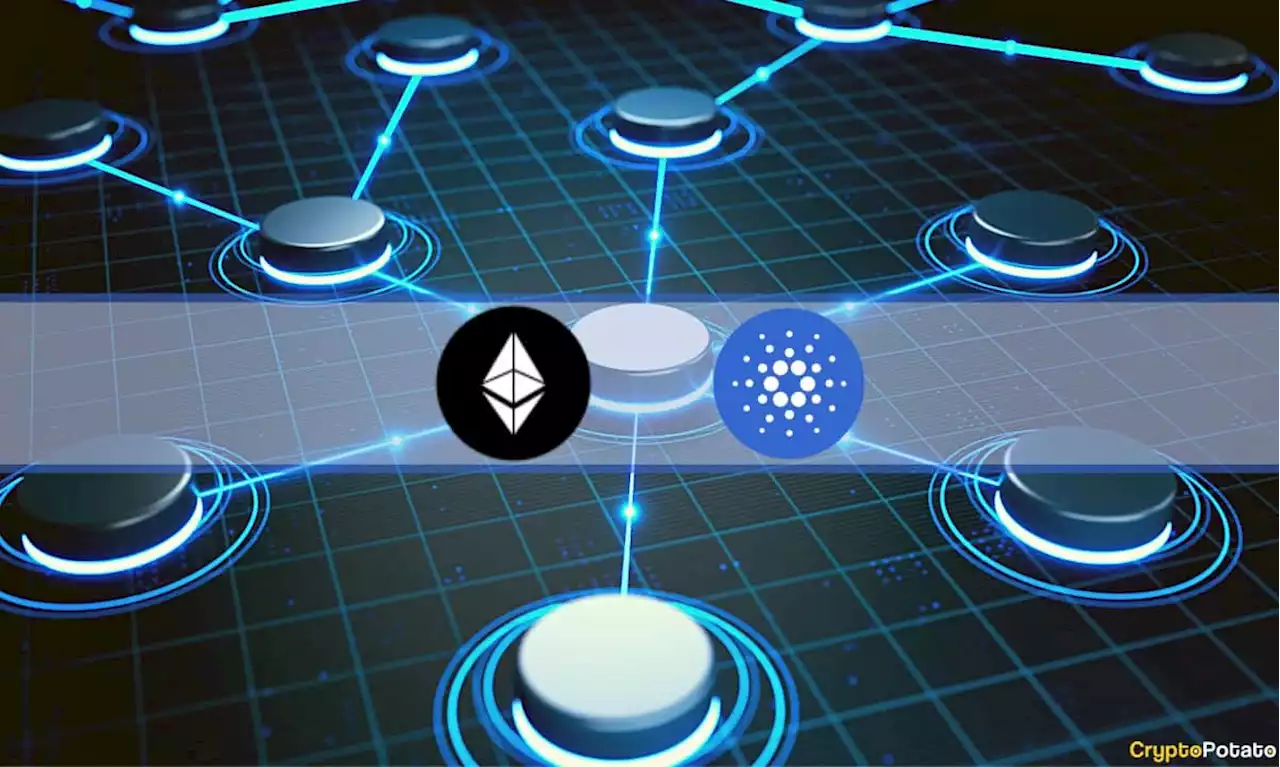 Ethereum and Cardano Record Highest Level of Developer Activity in 2022: DappRadar