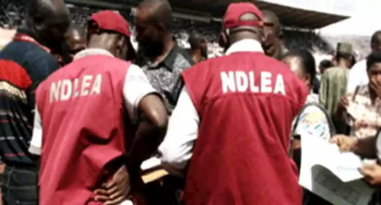 Drug trafficking: NDLEA arrests blind grandpa in Osun, leper in Kano