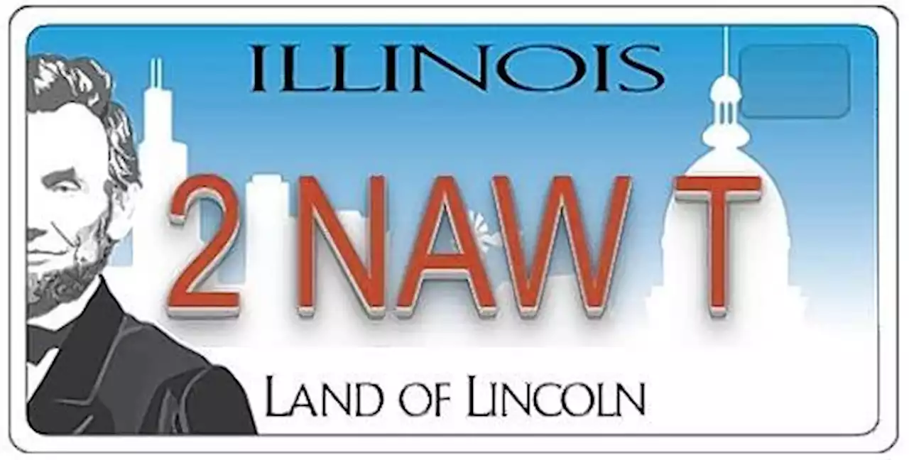 Too naughty to drive: Why Illinois rejected nearly 400 license plate requests in 2022