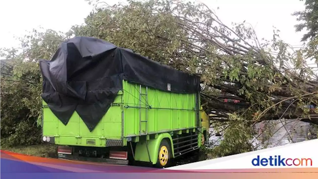 2 Orang Tewas Tertimpa Pohon saat Angin Kencang Terjang Sukoharjo