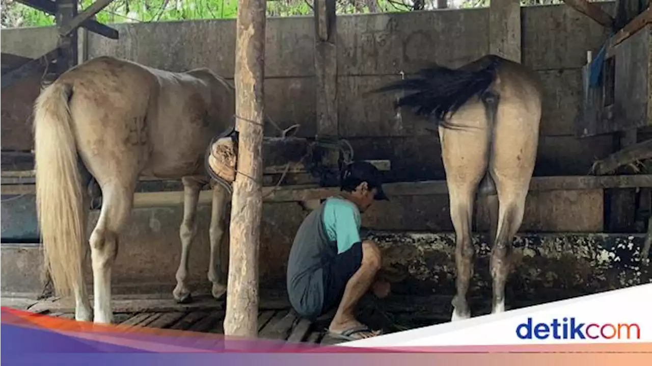 Potret Kampung Delman di Tengah Hiruk Pikuk Ibu Kota