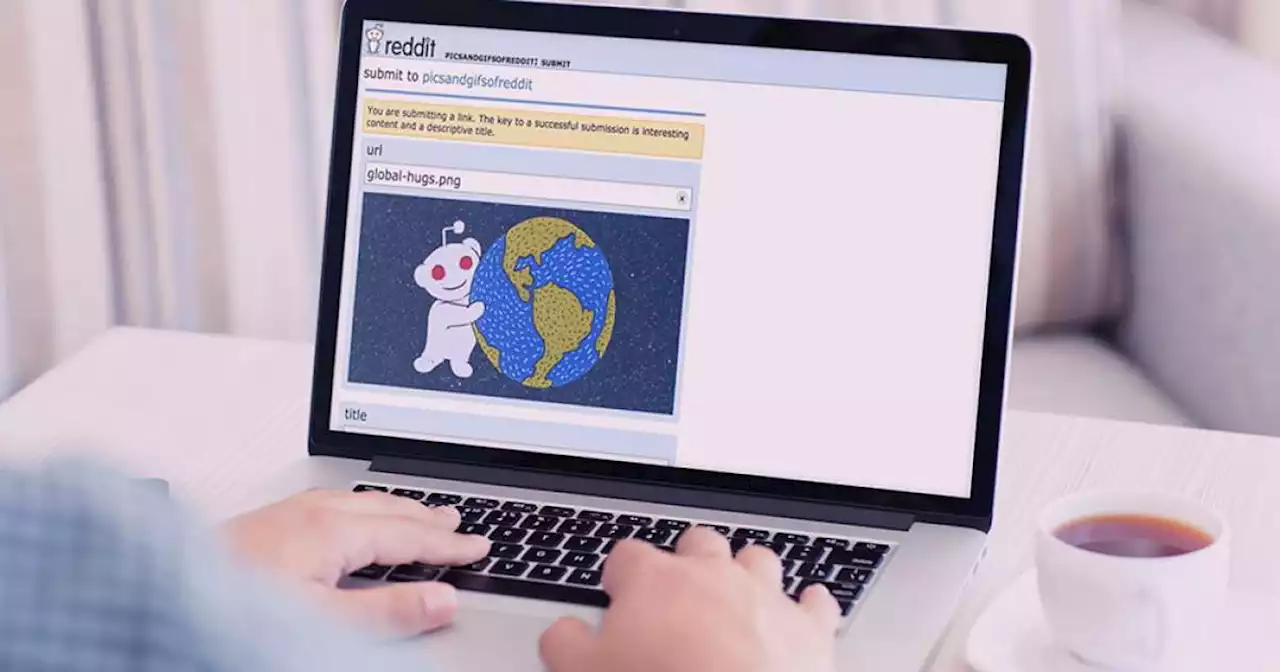 The best subreddits you should subscribe to in 2023 | Digital Trends