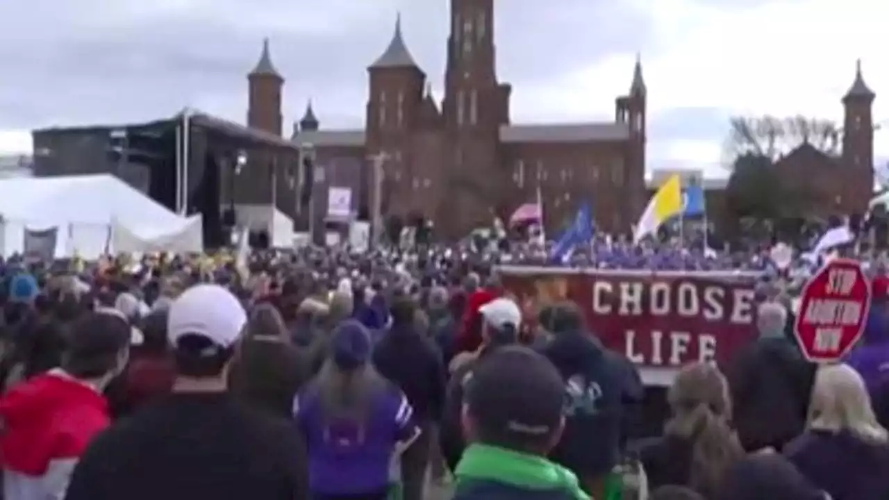 Anti-abortion demonstrations underway in DC, Houstonians on both side of debate react