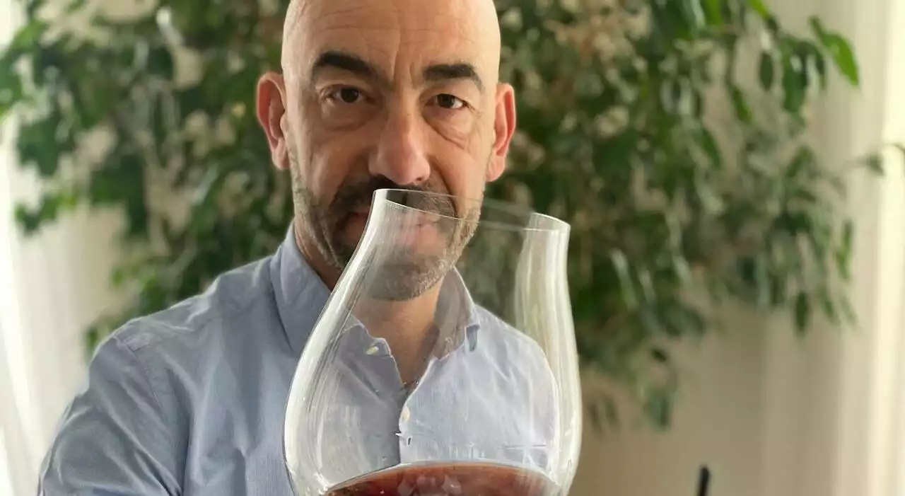 Vino rende il cervello più piccolo? Bassetti contro Viola: «Non estremizzare i messaggi»