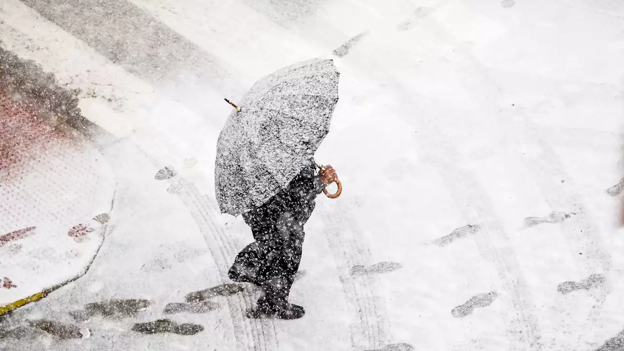 La semana comienza con frío intenso y nevadas en el Cantábrico oriental