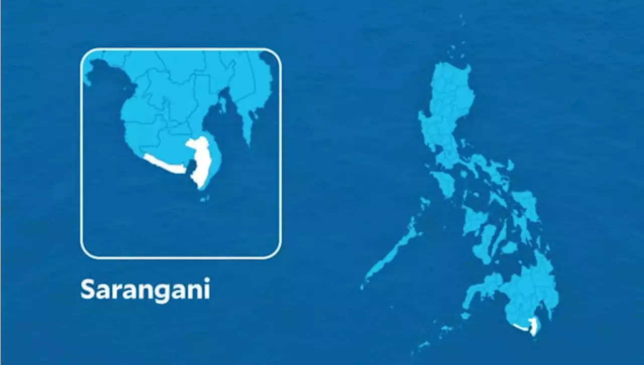 Firearms seized in Sarangani bound for West Papua – police