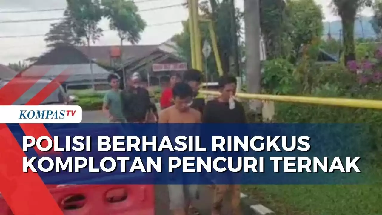 Sempat Kabur, Komplotan Pencuri Ternak Berhasil Diriungkus Polisi