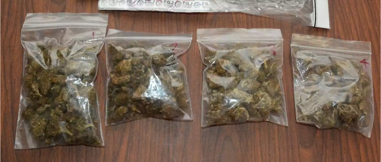 Ordenan vincular a proceso a 10 por posesión de mariguana en Tamaulipas