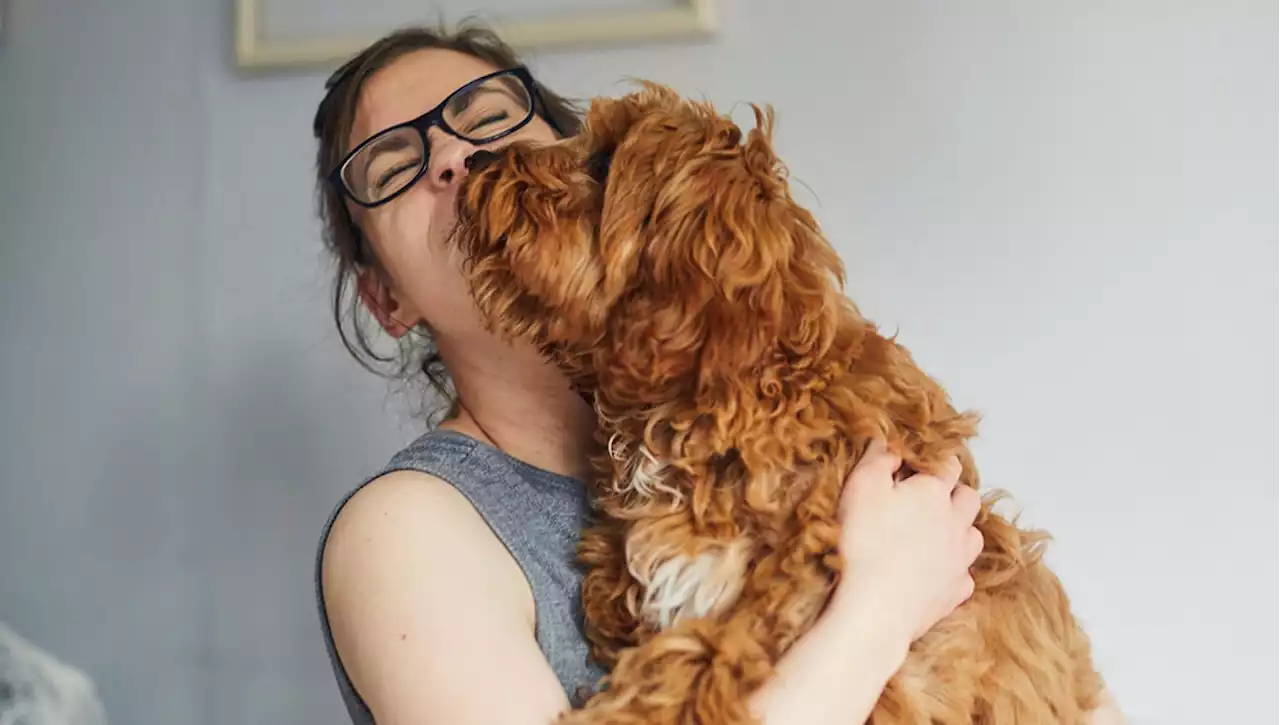 Lo sfogo di Rachel al compagno: 'È inutile che usciamo insieme se non ti piacciono i cani'