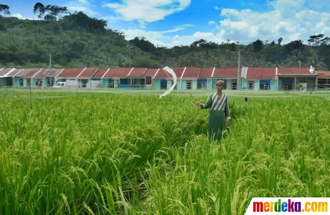 Foto : BTN Berikan Bunga Kredit Rendah untuk Kepemilikan Rumah | merdeka.com