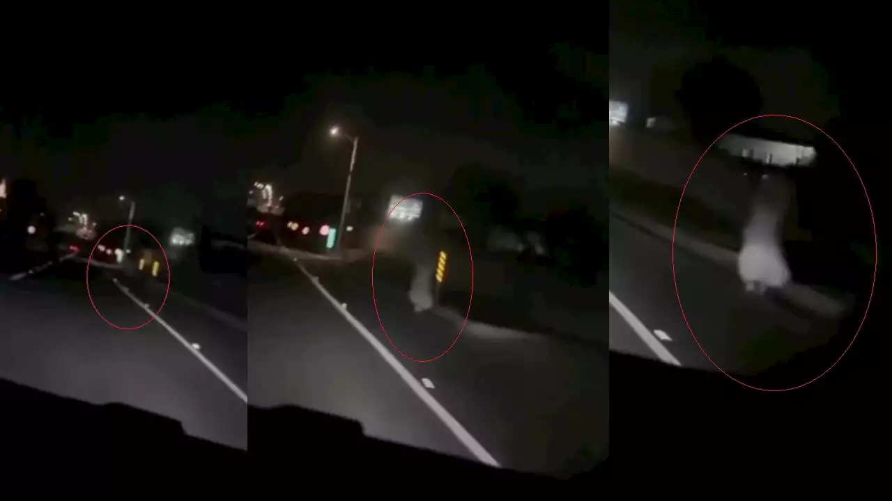 ¡Qué susto!, un fantasma en carretera es captado en video