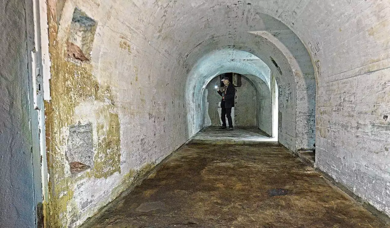 Versteckt am Straßenrand: Hamburgs verborgene Nazi-Bunker (M+)