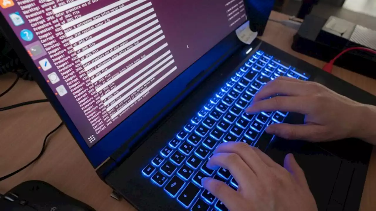 Potsdam will nach drohendem Cyberangriff wieder online gehen