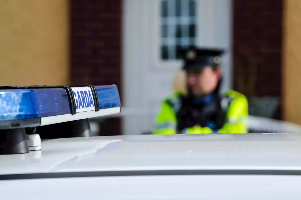 Garda suffers serious 'bite' injury while attempting to arrest dangerous driver