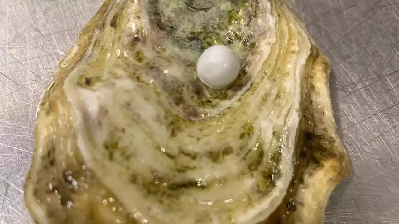 Eerste parel voor Amersfoortse kok, na ruim 30 jaar werken met oesters