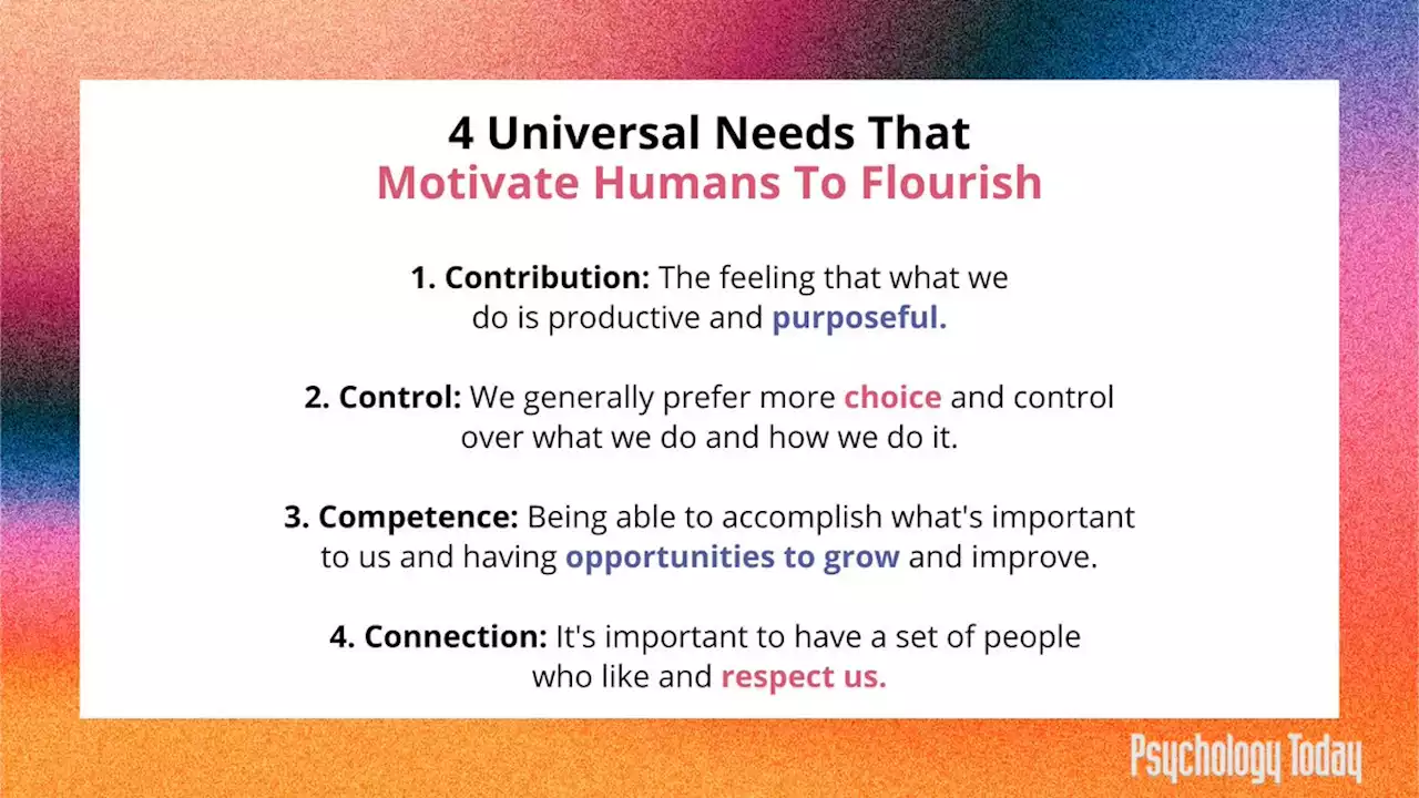 To Flourish, Humans Are Motivated by Four Universal Needs