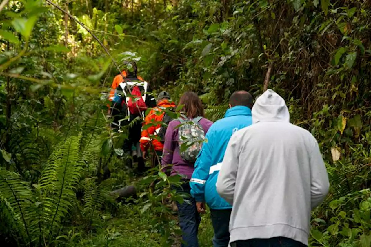 Senderos de los Cerros Orientales en Bogotá estarán cerrados el domingo; busque otro plan - Pulzo