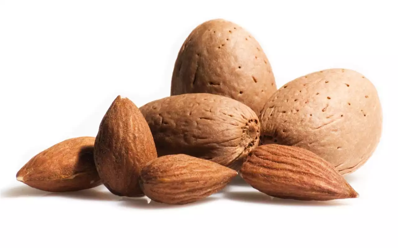 Eating almonds daily boosts exercise recovery among weekend warriors