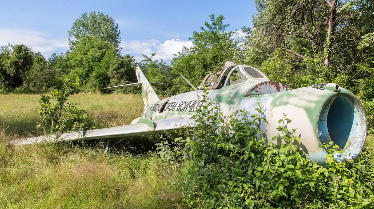 Lost Places: Wo die Natur alle Reste der Zivilisation überwuchert