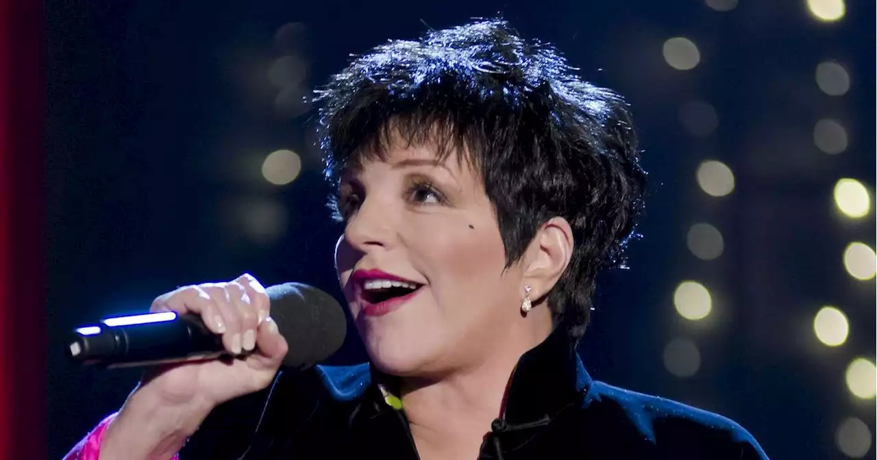 Liza Minnelli Through the Years: Screen Stardom, EGOT, More