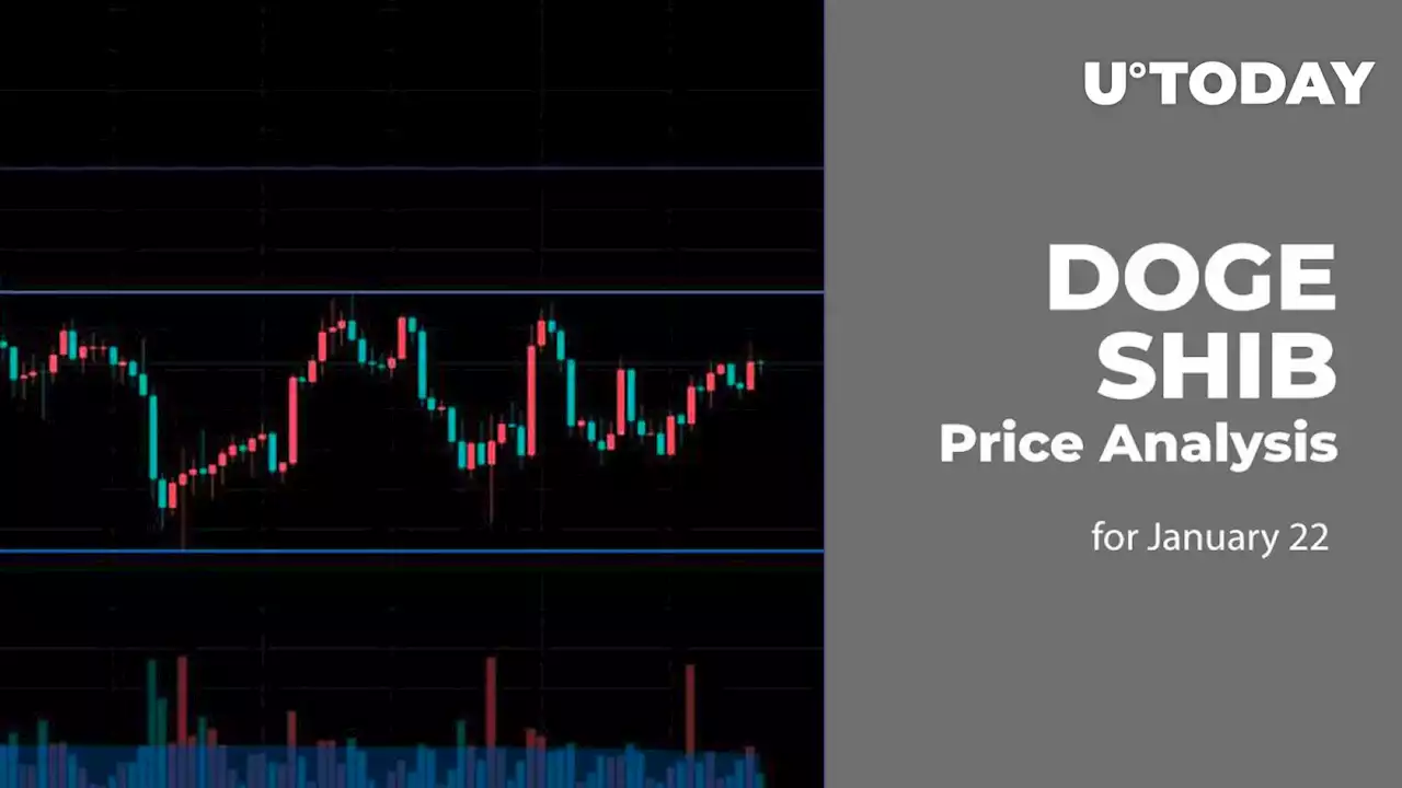 DOGE and SHIB Price Analysis for January 22