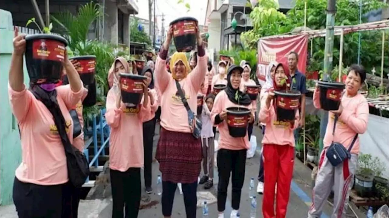 500 Pohon Cabai Disebar ke Warakas Jakut