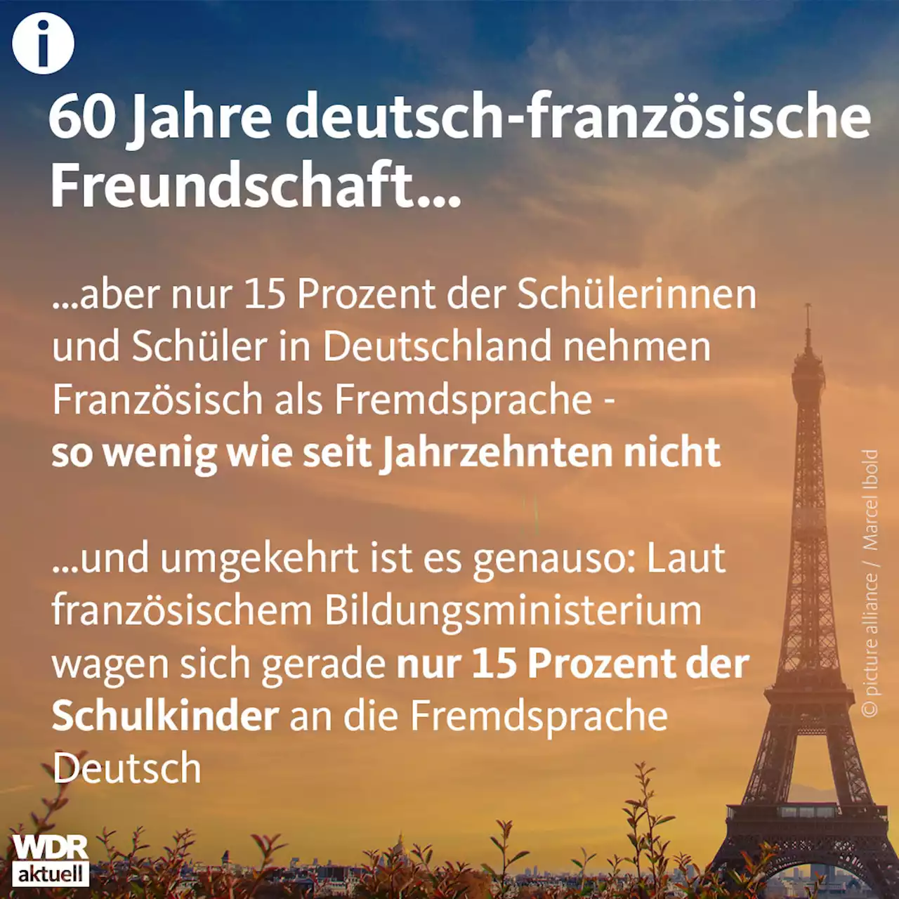 60 Jahre Élysée-Vertrag: Was bringt die deutsch-französische Freundschaft?