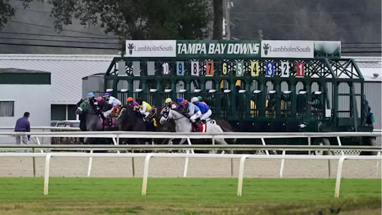 Exercise rider killed in Tampa Bay Downs horse track accident