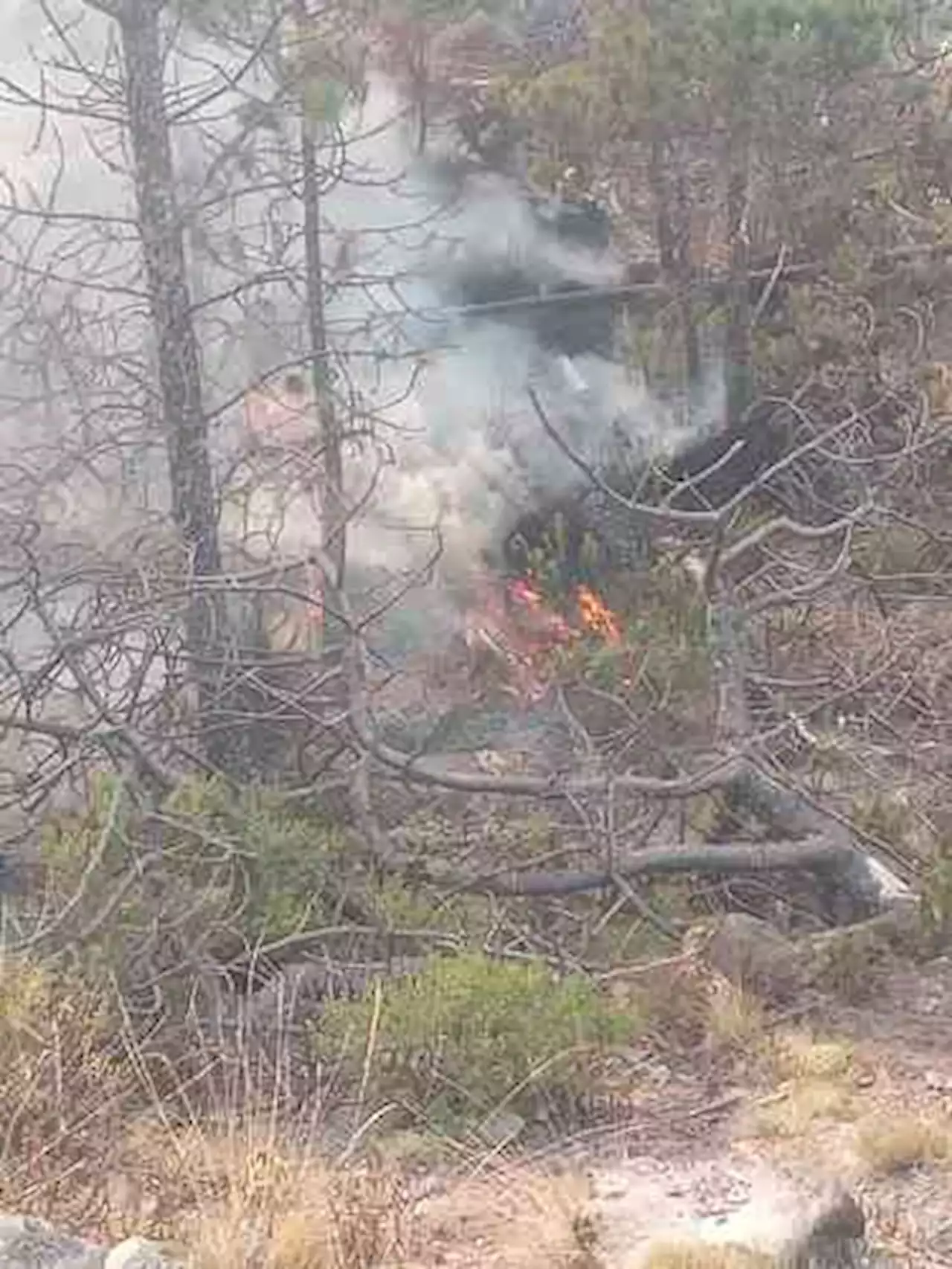 Incendio en Parque Nacional Pico de Orizaba movilizó a brigadistas