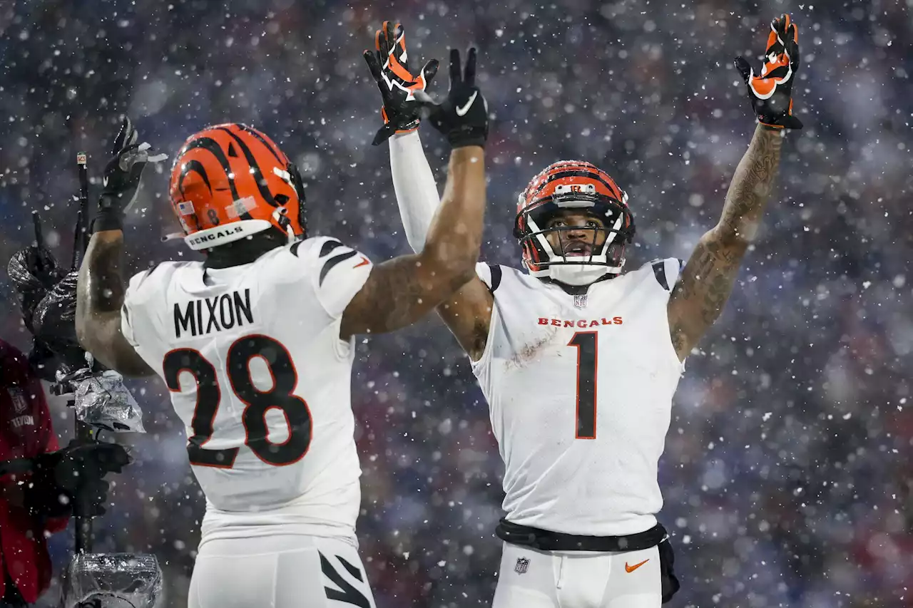 Bengals return to AFC championship after 27-10 rout of Bills