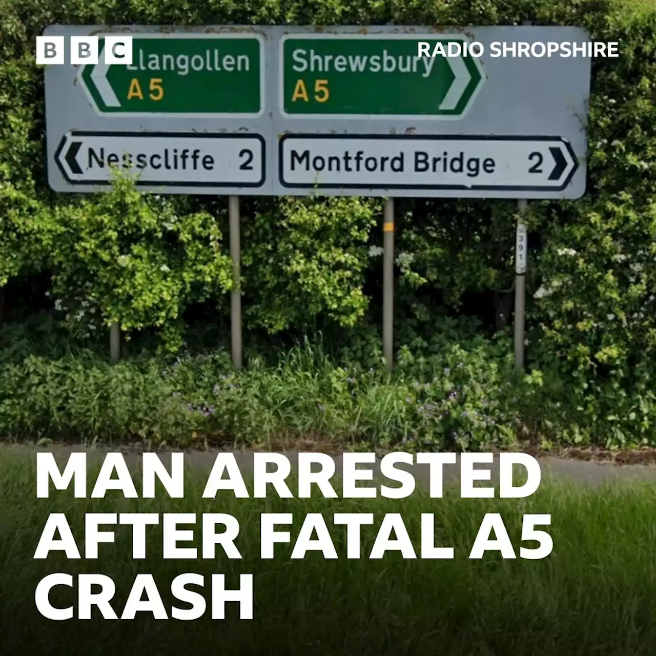 Man arrested after fatal A5 lorry crash near Nesscliffe