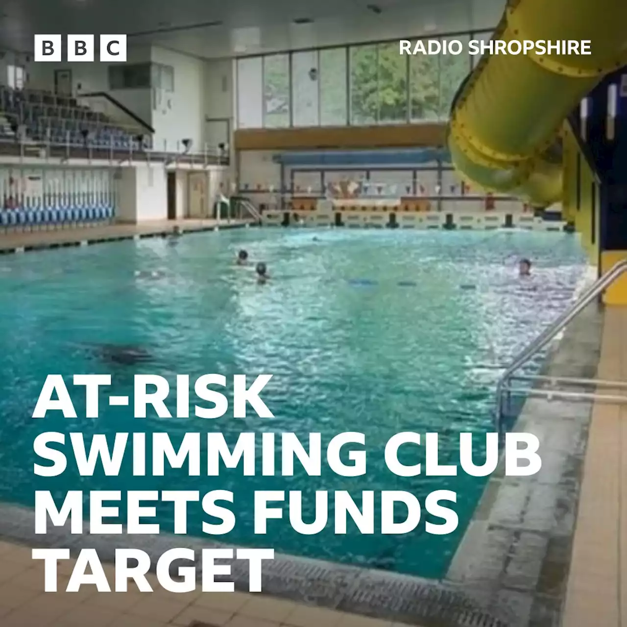 At-risk Shrewsbury swimming club hits fundraising target