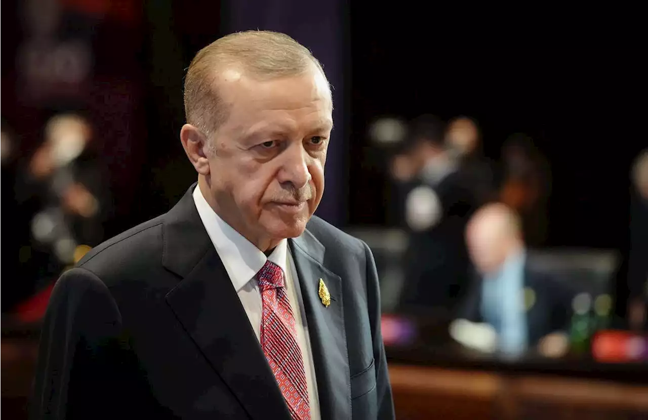 Erdogan kündigt vorgezogene Wahlen am 14. Mai an