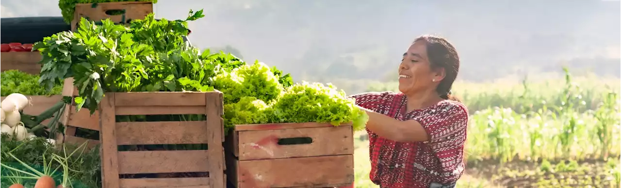 Mercados campesinos que puede pedir desde su casa en Bogotá - Colombia Visible