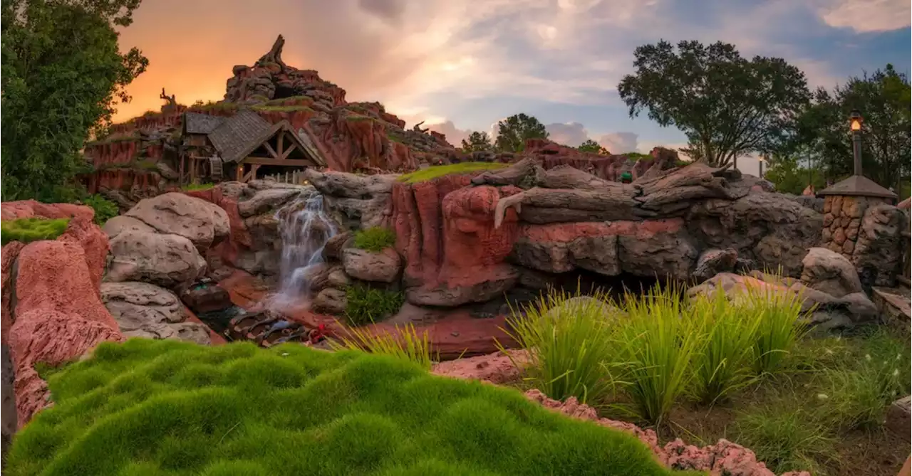 Disney World's Splash Mountain Revamp Work Begins: Photos