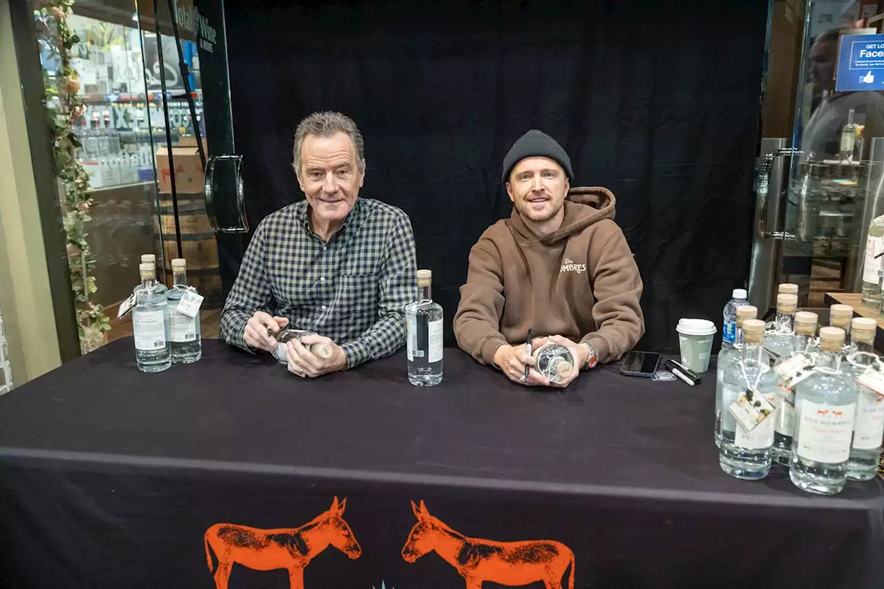 A Fan Proposed At Bryan Cranston and Aaron Paul's Mezcal Signing