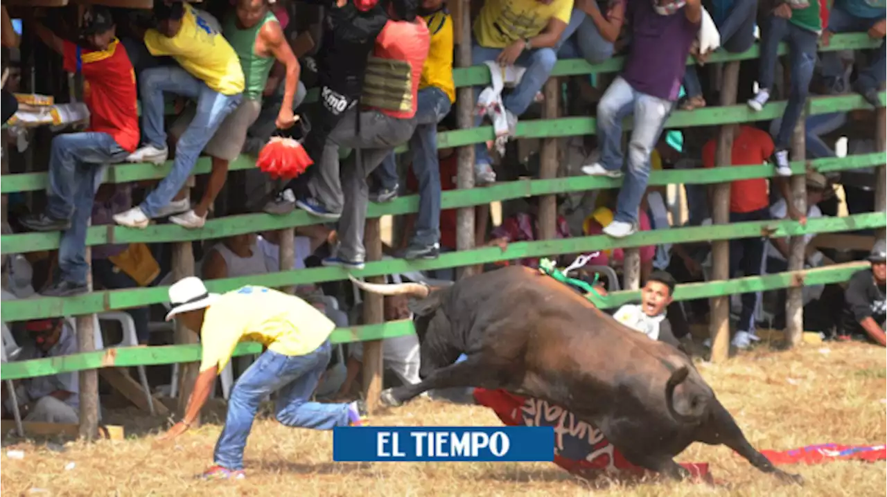 Hombre resultó herido con los cuernos de un toro por recoger dinero en corraleja