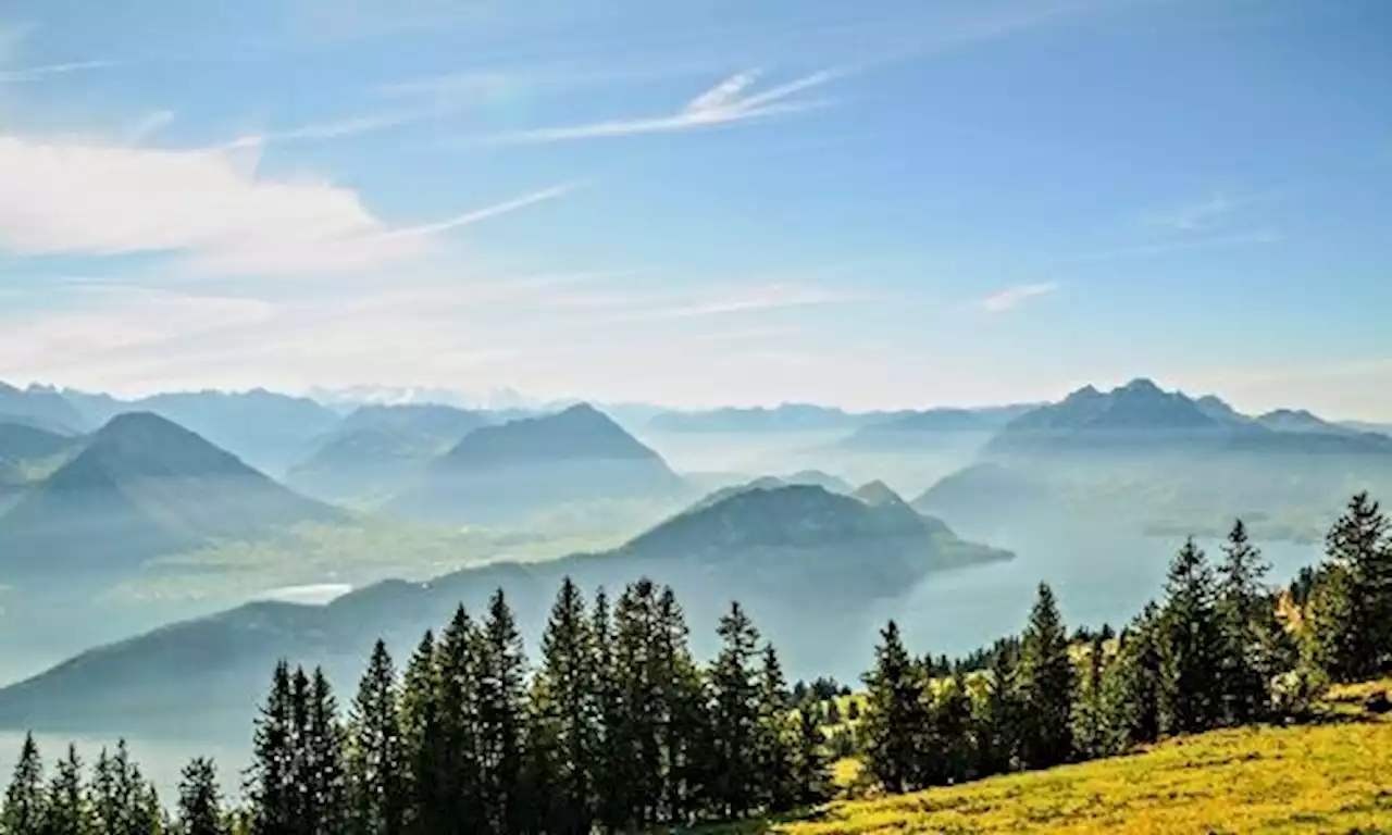 AMAS erhält Zuzug aus der Zentralschweiz