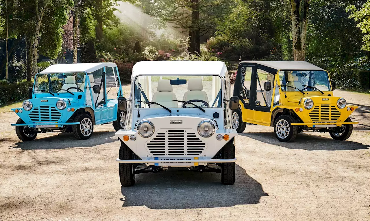 Petit gabarit mais grandes ambitions : cette voiture électrique de plage sent bon l'été