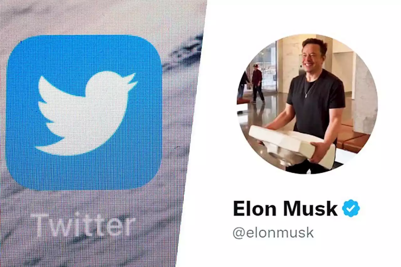 Elon Musk ha dejado Twitter en los huesos: afirma que quedan 2.300 empleados de los 7.500 que había cuando llegó