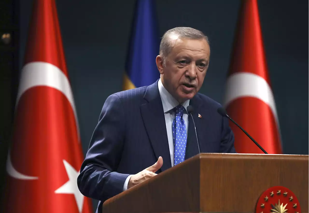 トルコ大統領選、5月実施へ エルドアン氏が表明 - トピックス｜Infoseekニュース