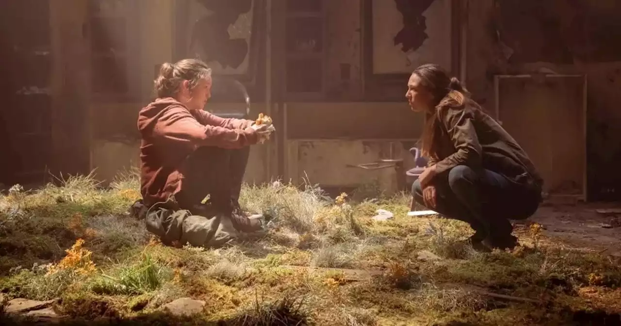 The Last of Us fans 'traumatised' after twist despite 'knowing what's coming'
