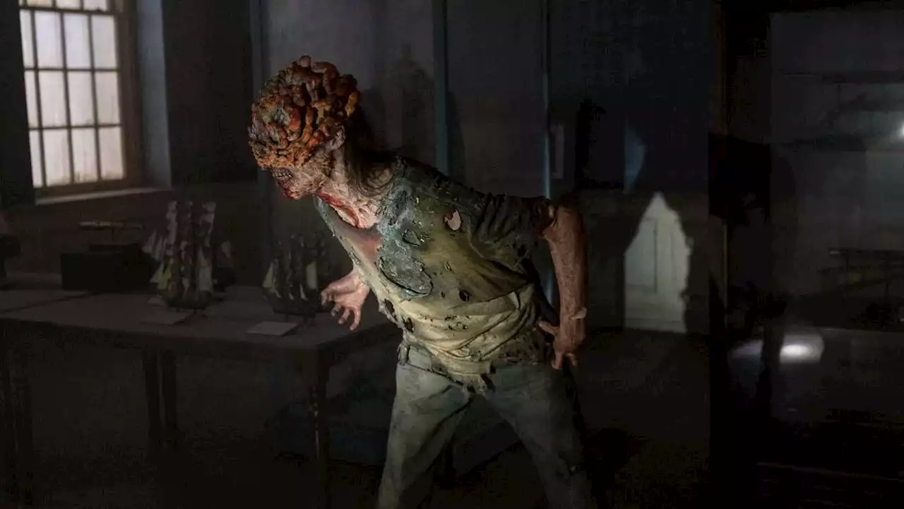 Adaptogenic Mushrooms Trigger a Zombie Apocalypse in 'The Last of Us.' Should We Be Concerned?