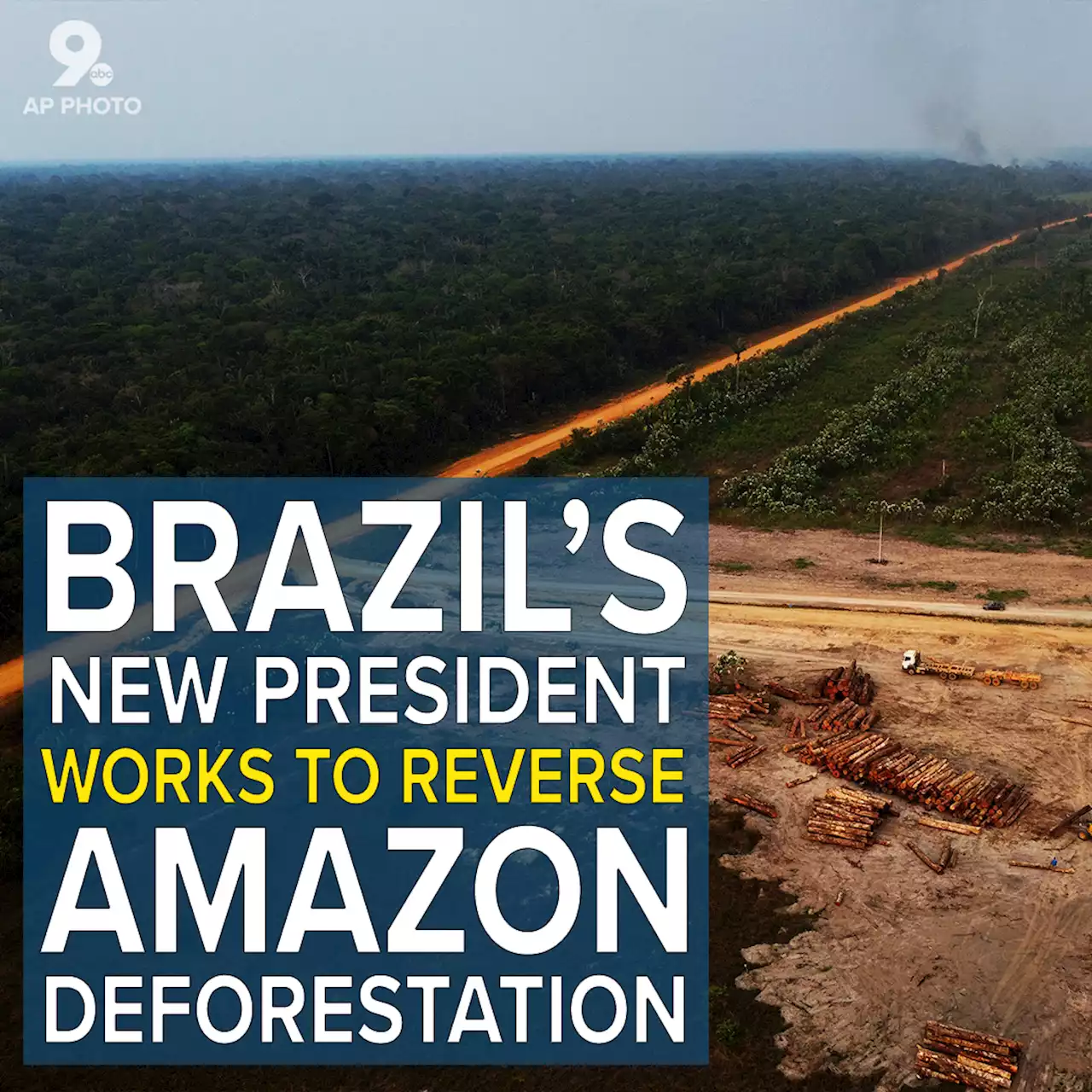 Brazil's new president works to reverse Amazon deforestation