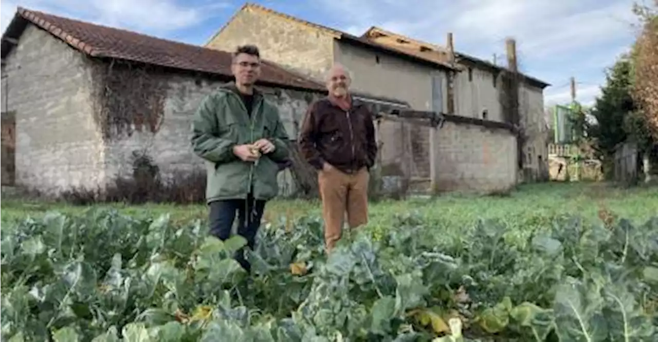 Une nouvelle ferme urbaine pour engranger du local