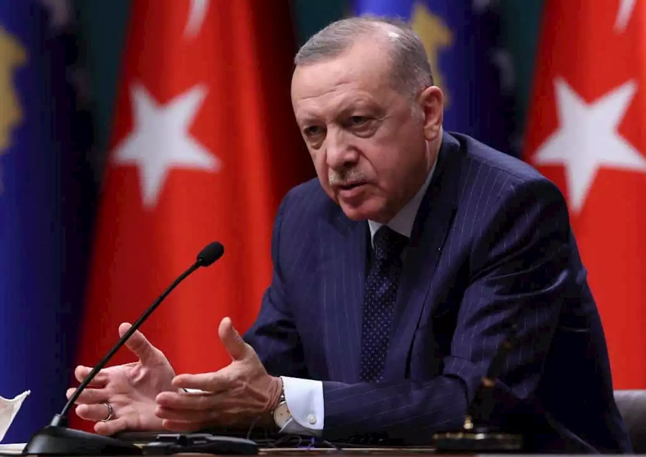 Turkey's Erdogan announces elections for May 14