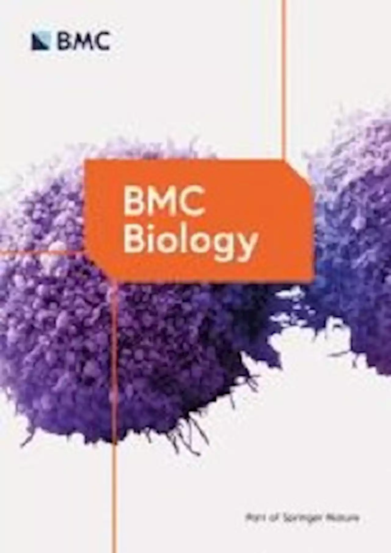 Lentiviral in situ targeting of stem cells in unperturbed intestinal epithelium - BMC Biology