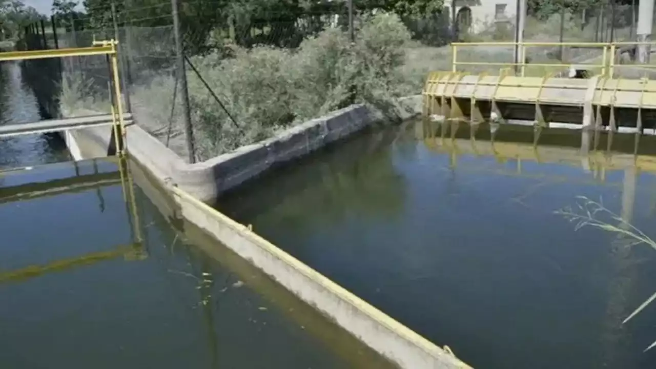 Mendoza: tres jóvenes murieron ahogados en un canal de riego